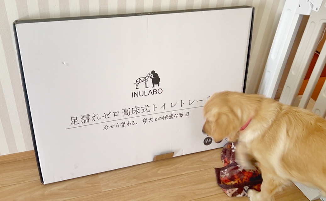 INURABO高床式犬トイレ